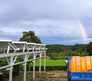 Solar Farm Project
