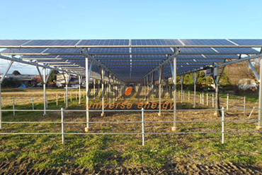 Photovoltaic + agriculture complement each other, using solar panels to grow fruits